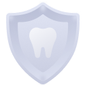 Dental Protection - Plum Dental